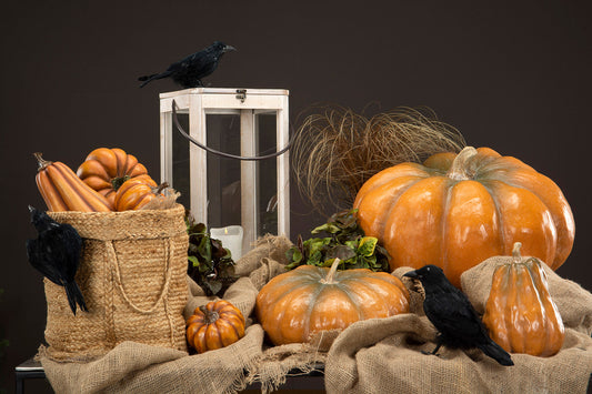 Pumpa Orange - 20 cm