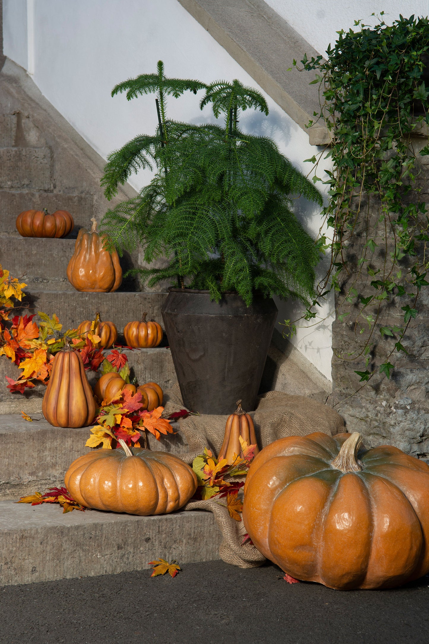 Pumpa Orange - 20 cm