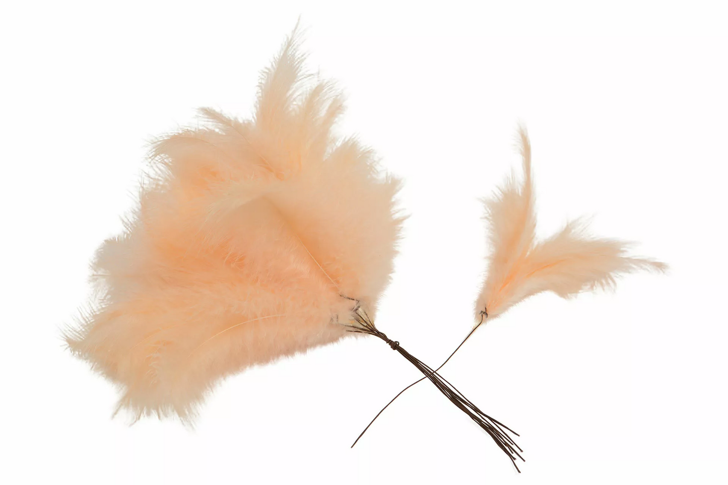Fjäder Trådad Vippa Aprikos