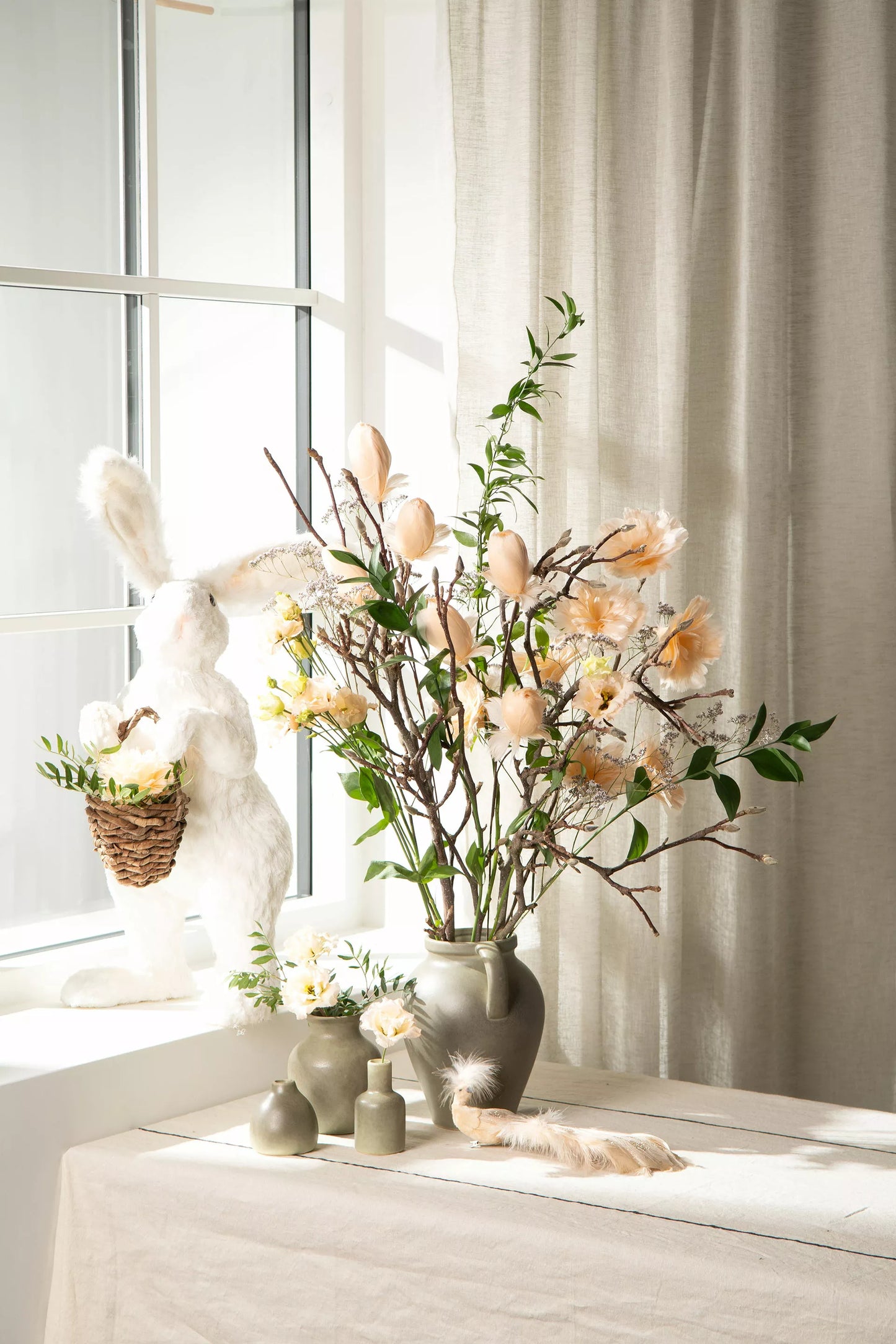 Fjäderblomma Kvist Aprikos