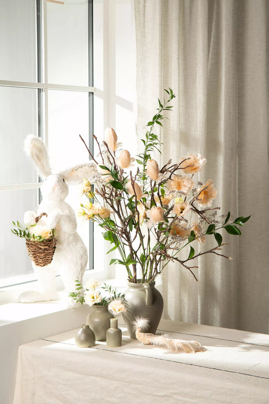 Fjäderblomma Kvist Aprikos