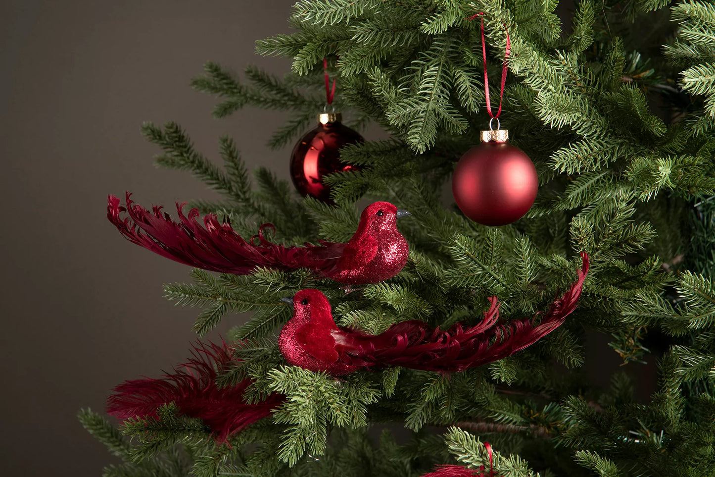 Fågel Clip Velvet Röd