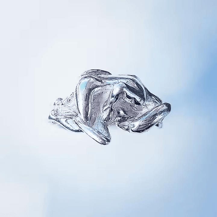 Symbios Ring