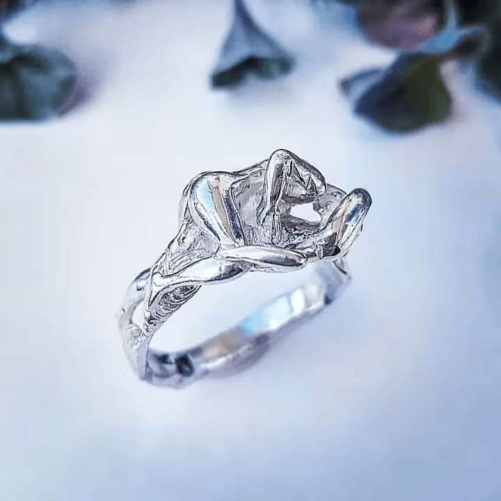 Symbios Ring