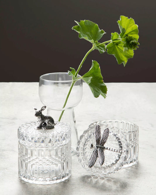 Glasburk trollslända