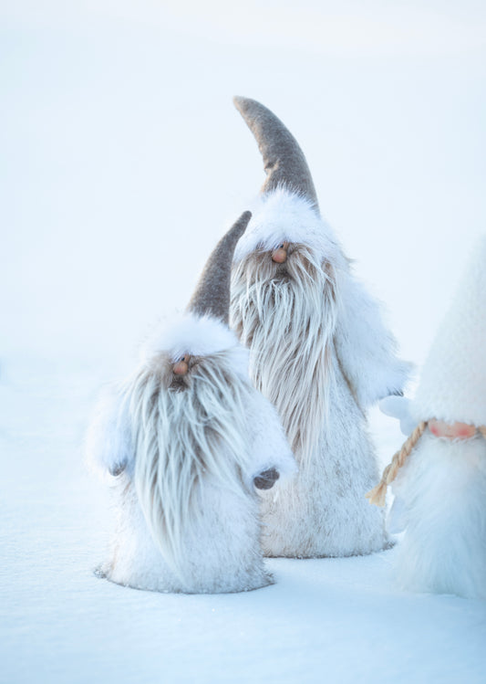 Arvid Tomte liten