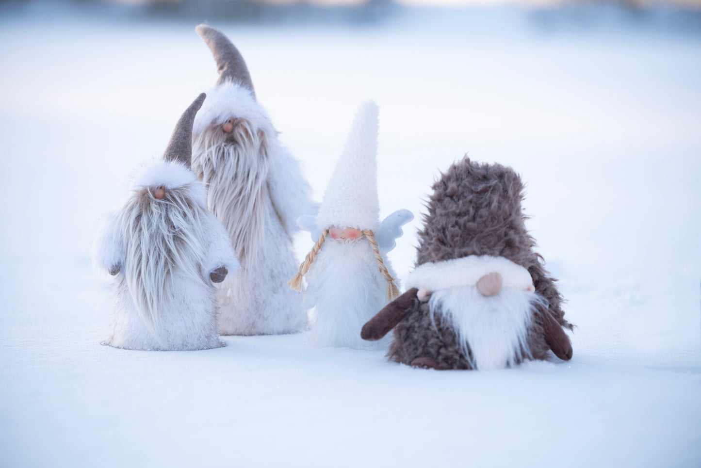 Arvid Tomte liten