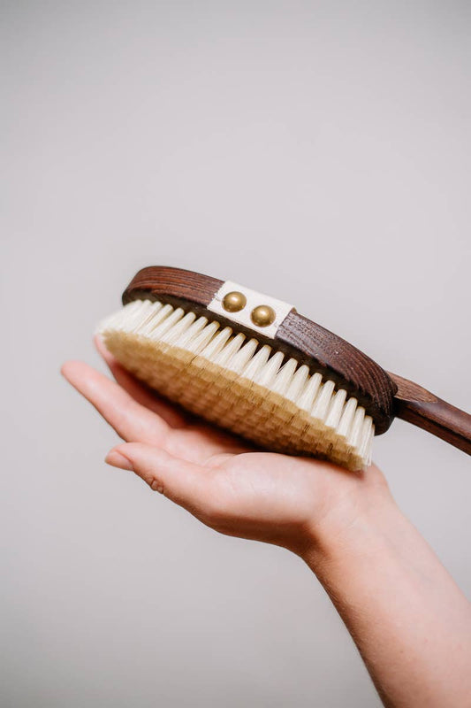 Kvalitet borste hud kropp mörkt trä tillverkad i Tyskland