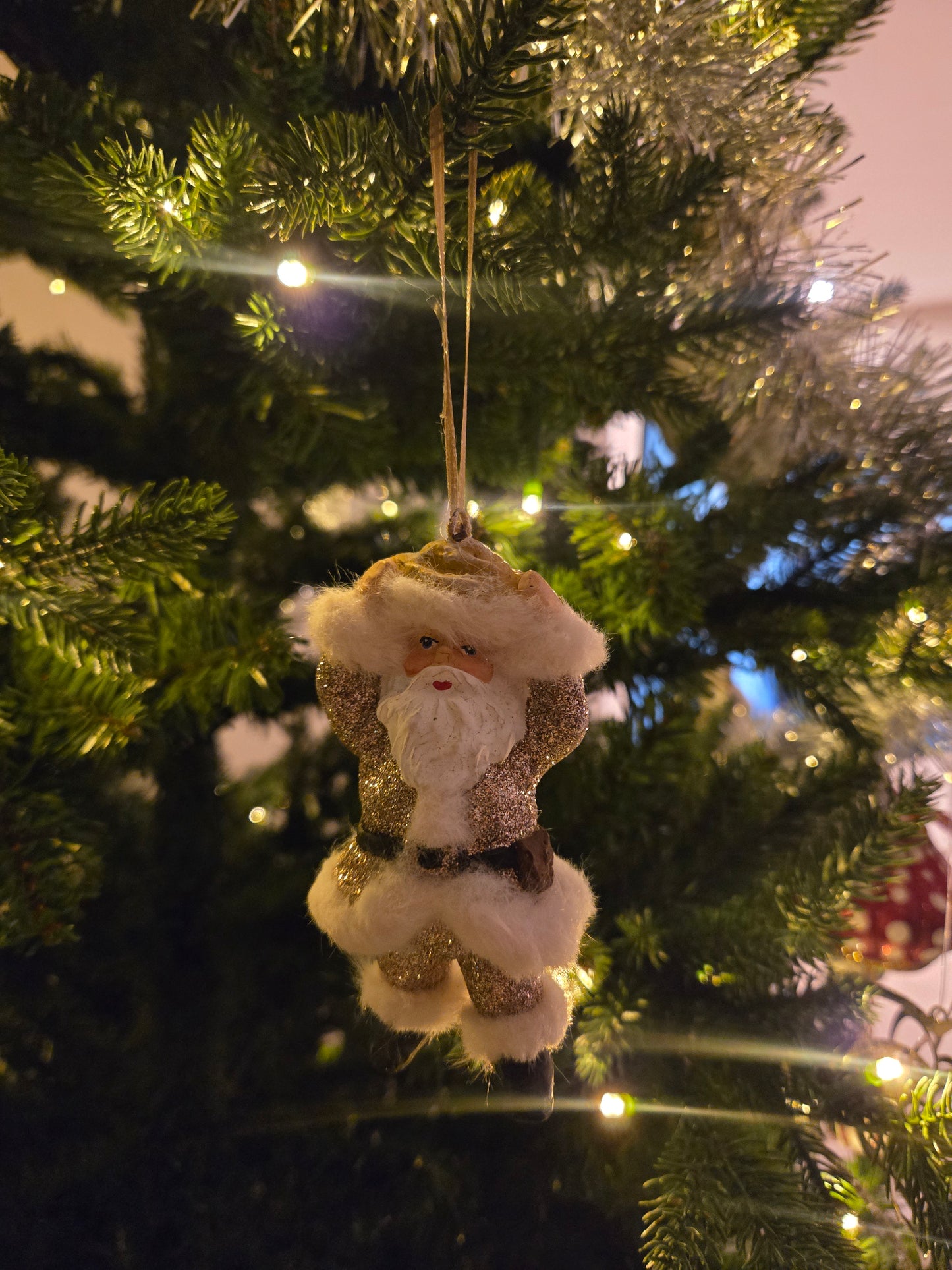 Santa w kanelbulle in champ