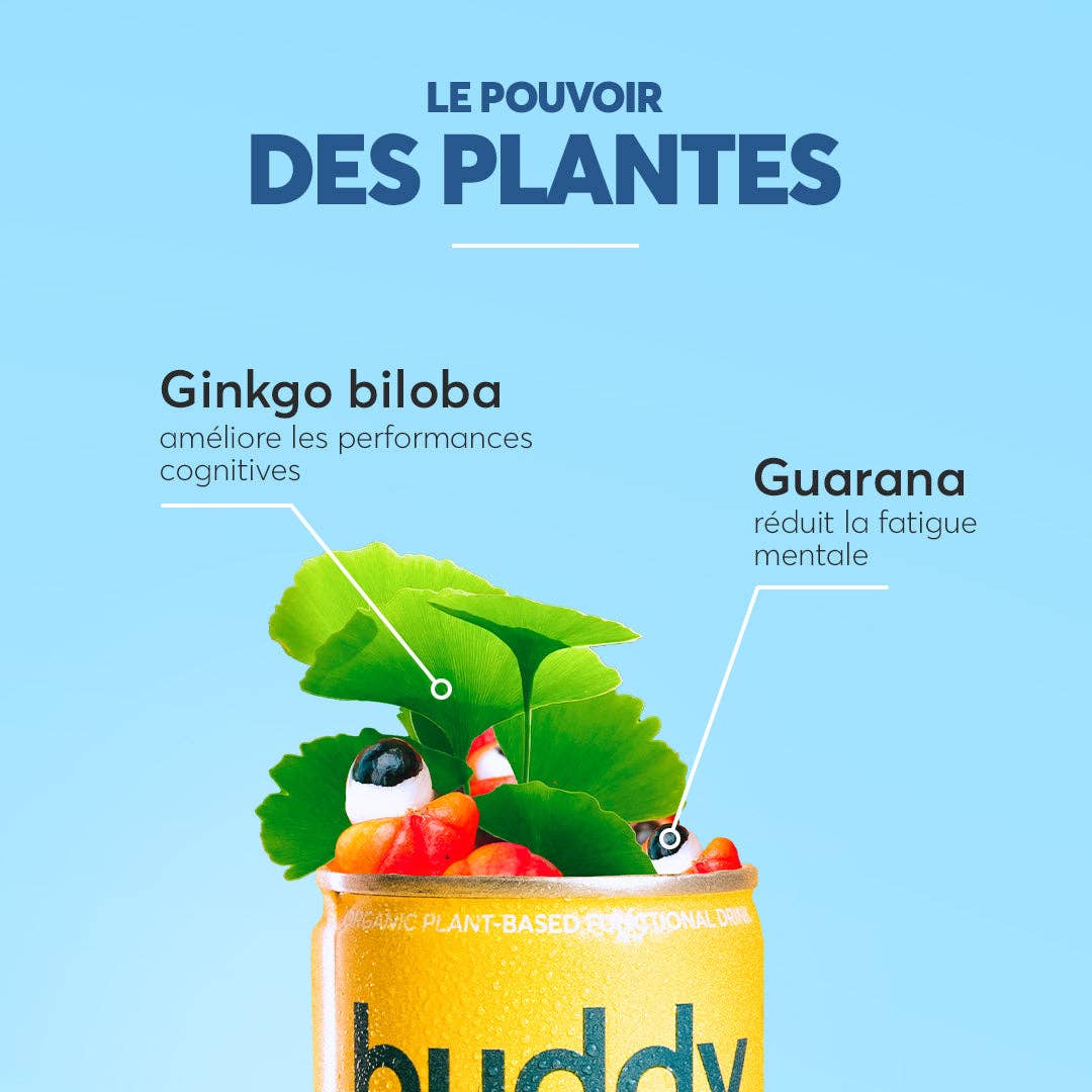 BUDDY Focus & Energy  Mango & Passionsfrukt | 3-pack