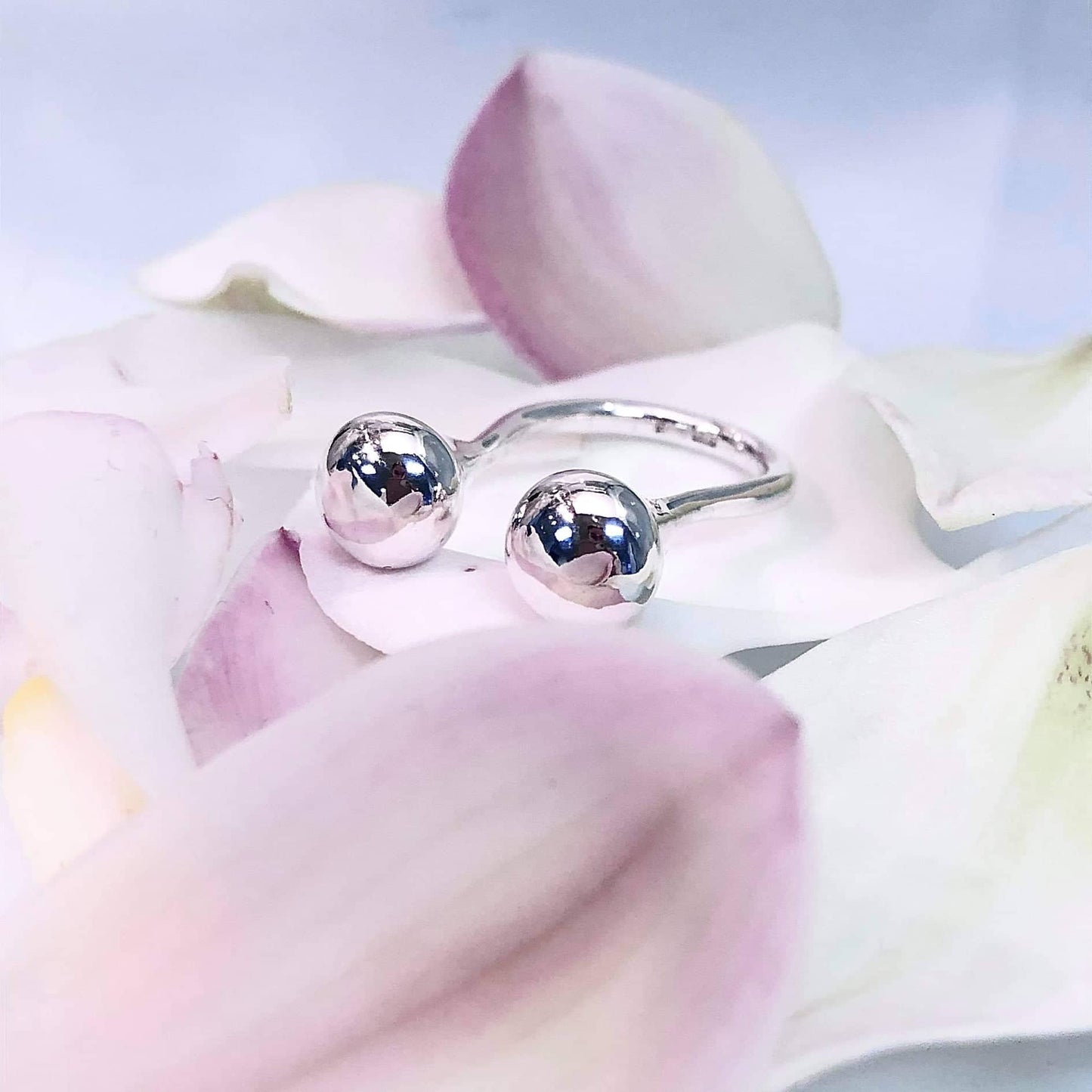 Drop Ring