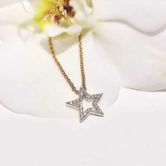 Drömmar blir verklighet 18K Rödguld Halsband