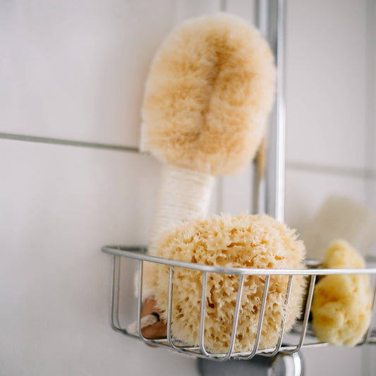 Hållbar natursvamp från havet Boho bad wellness spa: Stor