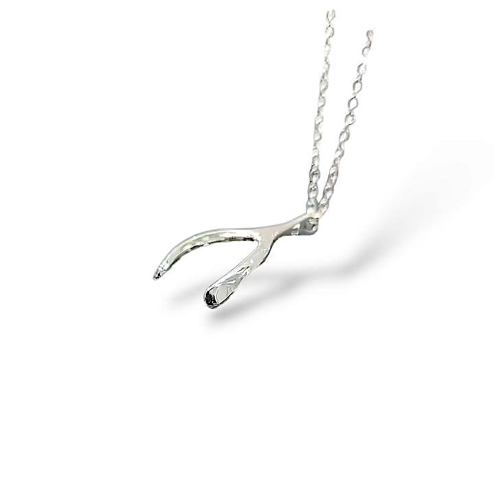 Make A Wish Halsband Silver