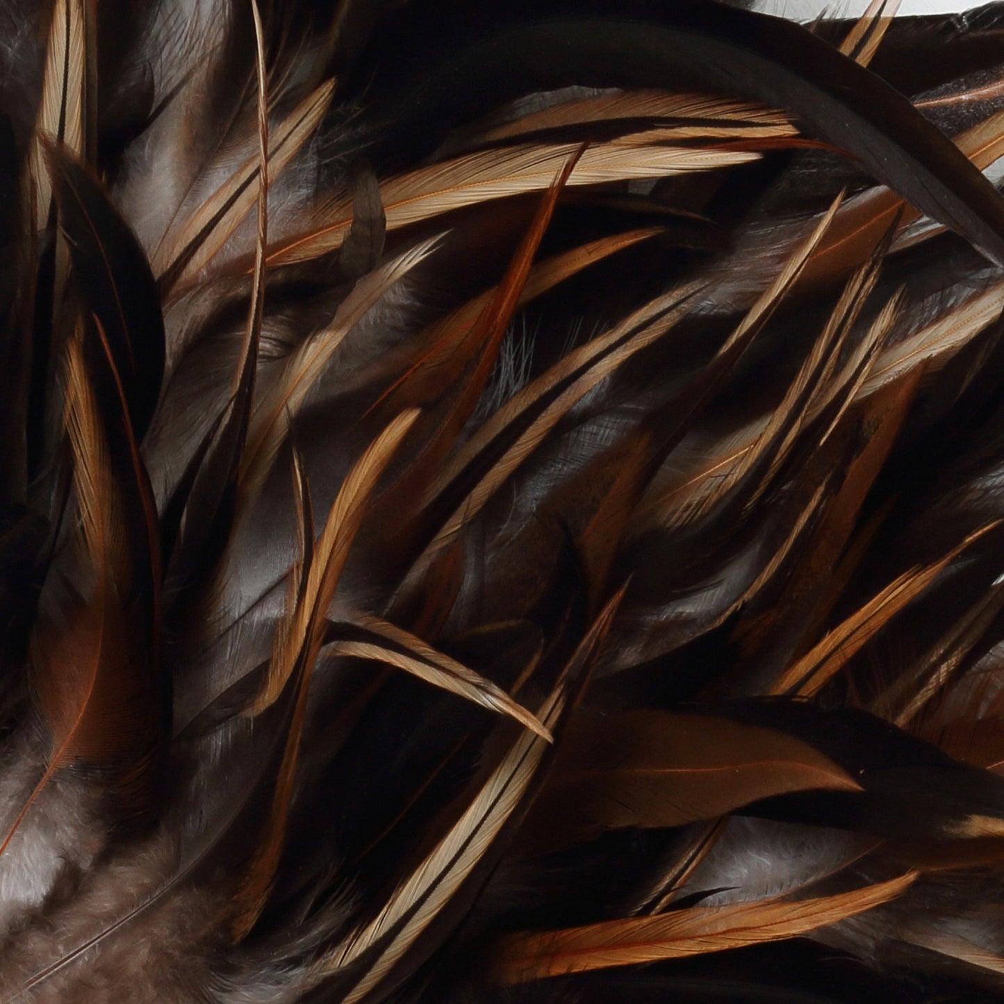 Kustnära Juju - Svart Brun - M