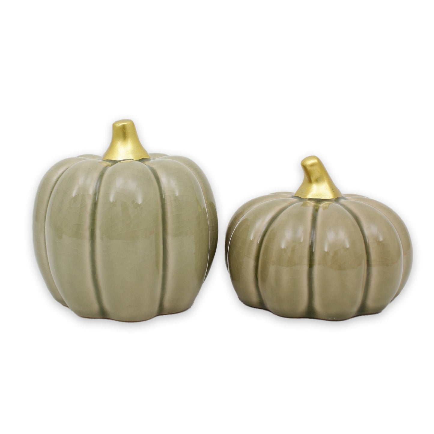 Fenja pumpa sage L, 2-pack