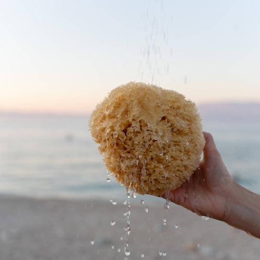 Hållbar natursvamp från havet Boho bad wellness spa: Medium