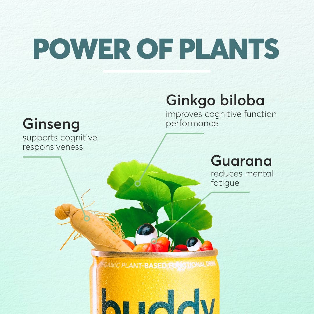 Buddy Naturlig och ekologisk energidryck Citron Ingefära