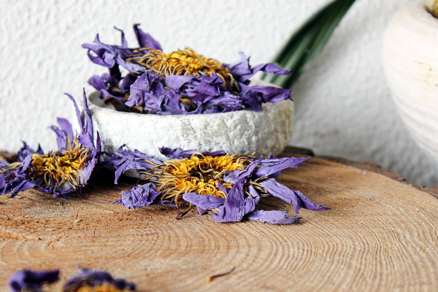 Blå Lotus Kronblad - Egyptisk Nymphaea Caerulea