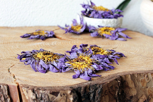 Blå Lotus Kronblad - Egyptisk Nymphaea Caerulea