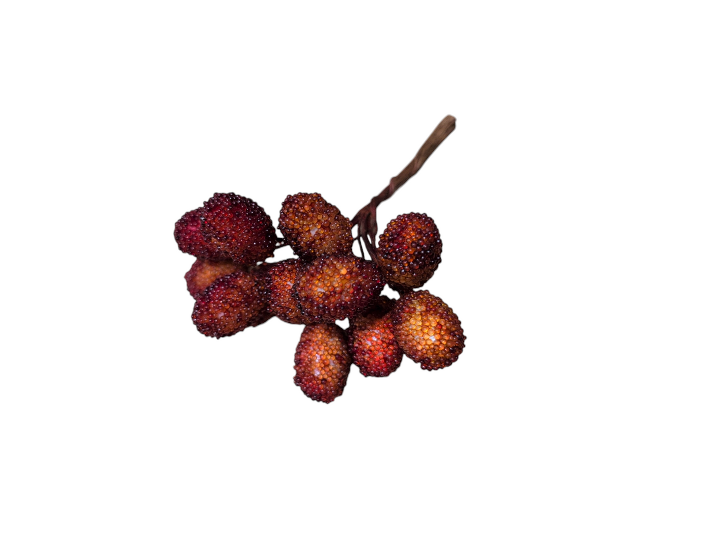 Dekorations bär Red Berries