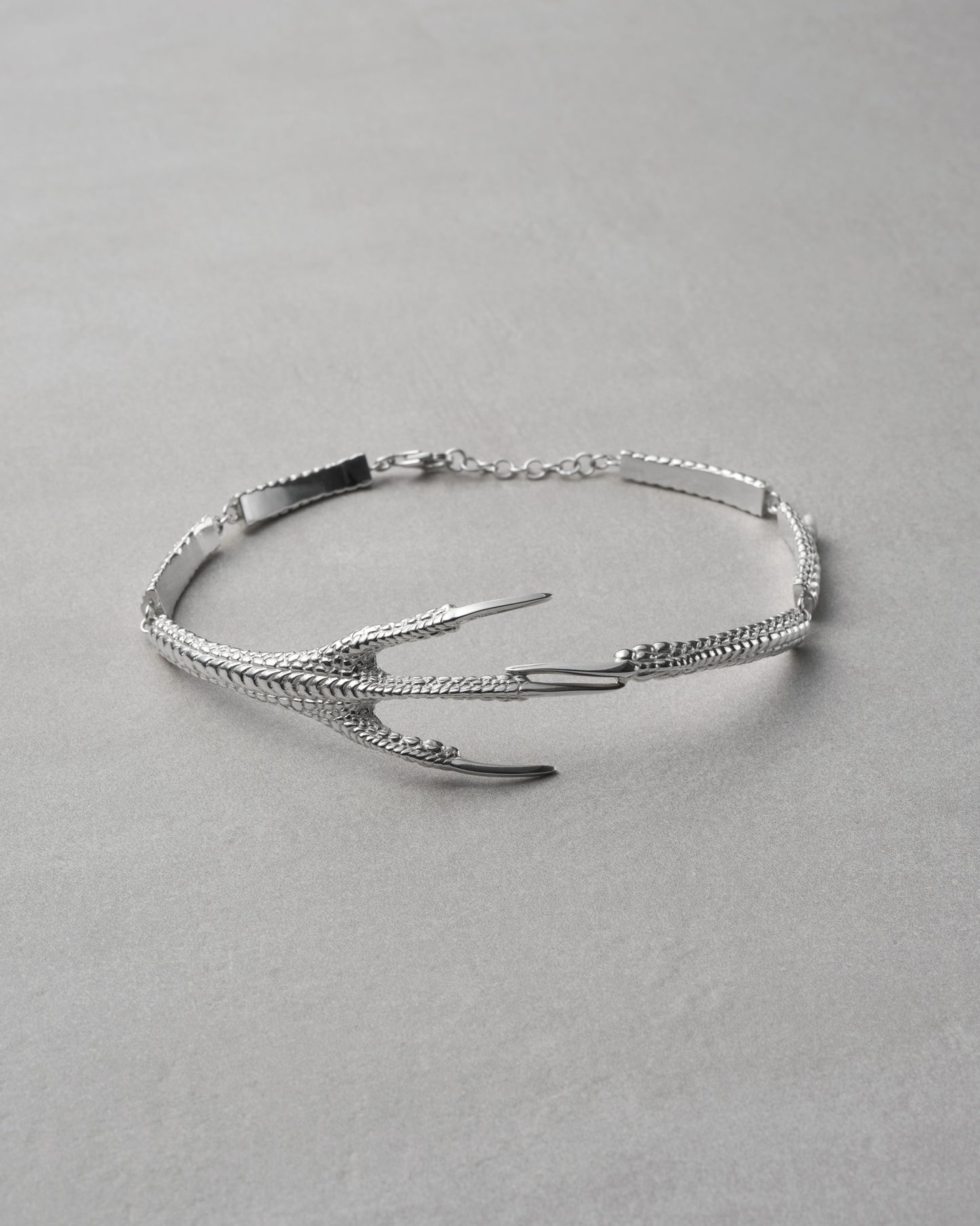 Raven claw choker