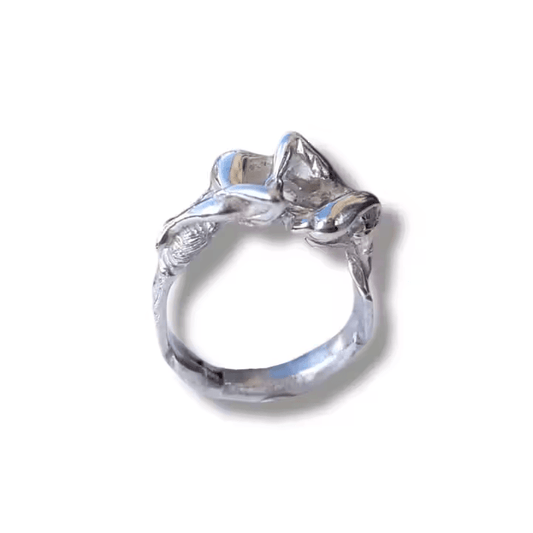 Symbios Ring