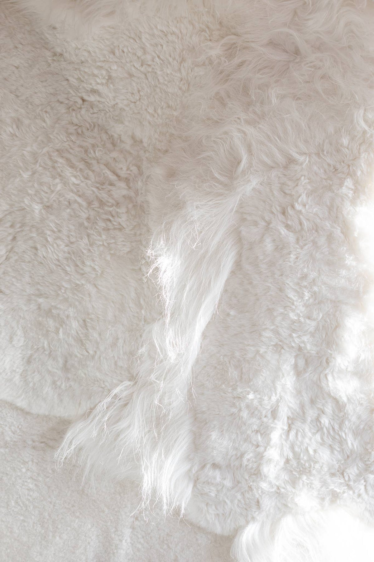 Melange fårskinnsmatta | Vit 180 × 120 cm
