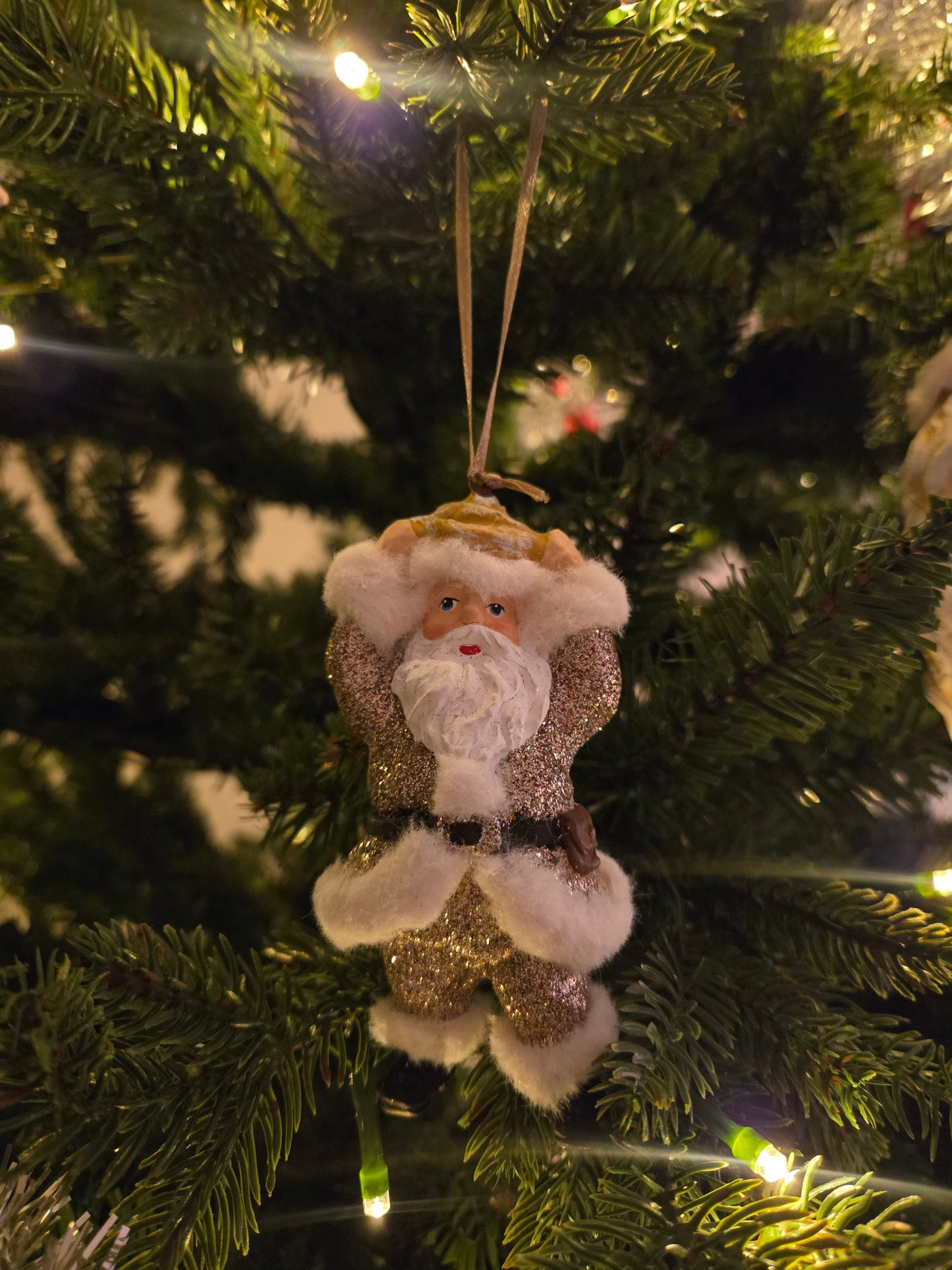 Santa w kanelbulle in champ